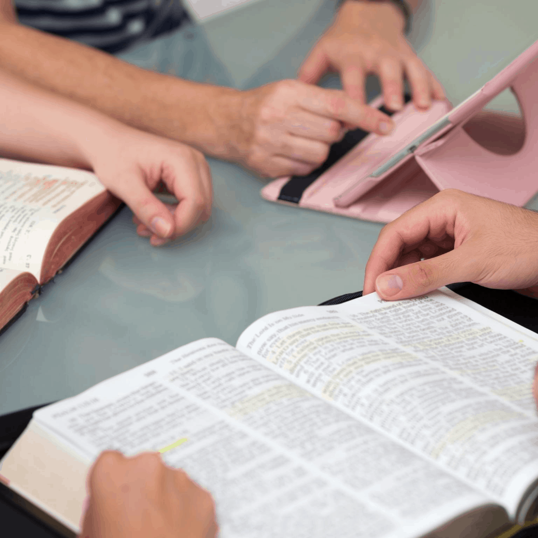 Bible Study Ministries
